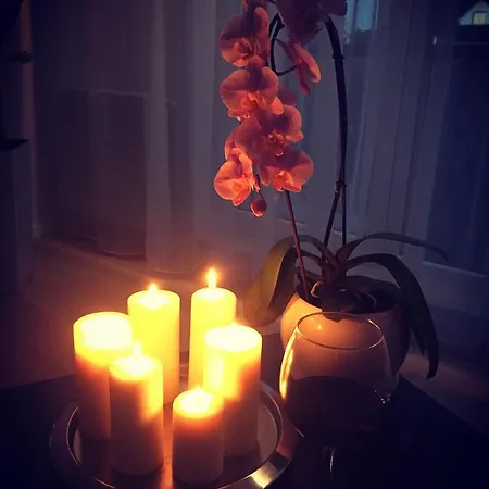 Apartament Royal Avenue